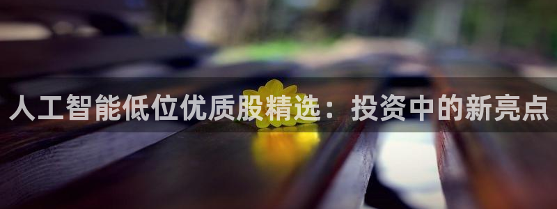 人工智能低位优质股精选：投资中的新亮点