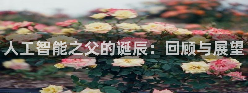 人工智能之父的诞辰：回顾与展望