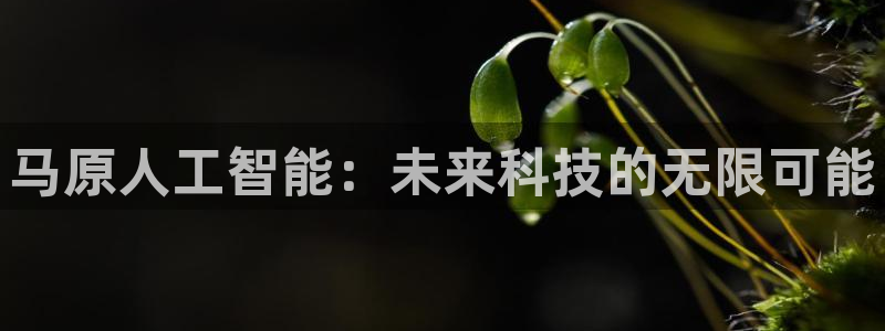 马原人工智能：未来科技的无限可能