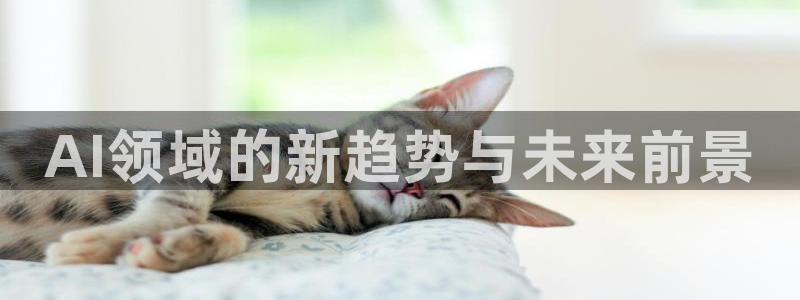 AI领域的新趋势与未来前景