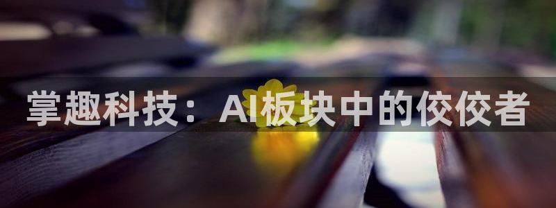 掌趣科技：AI板块中的佼佼者