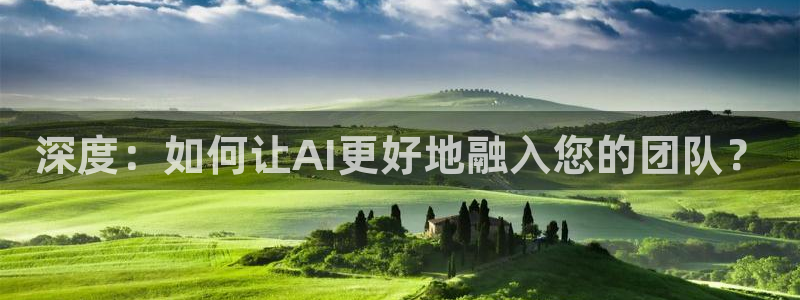 深度：如何让AI更好地融入您的团队？