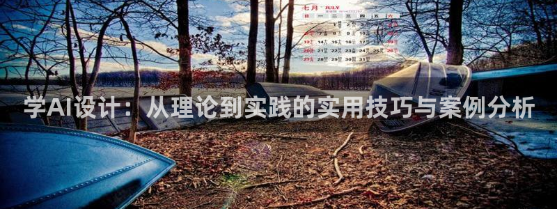 学AI设计：从理论到实践的实用技巧与案例分析