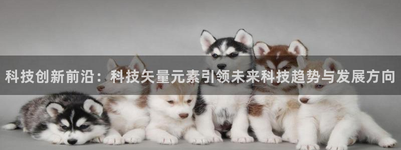 科技创新前沿：科技矢量元素引领未来科技趋势与发展方向