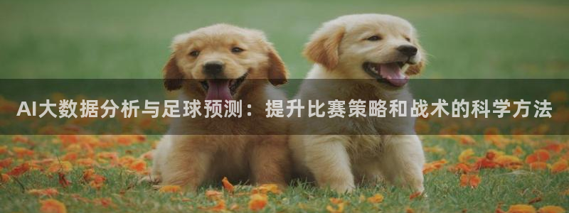 AI大数据分析与足球预测：提升比赛策略和战术的科学方法