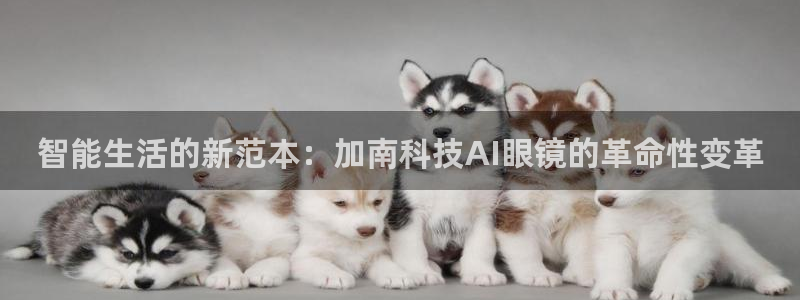 智能生活的新范本：加南科技AI眼镜的革命性变革