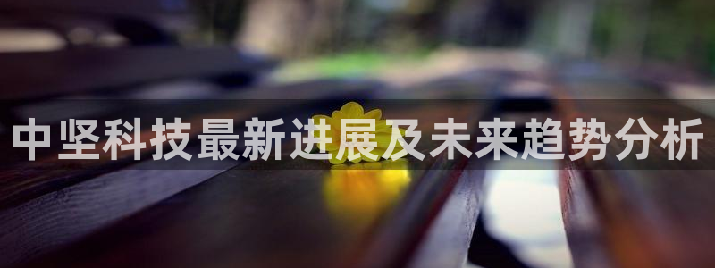 中坚科技最新进展及未来趋势分析