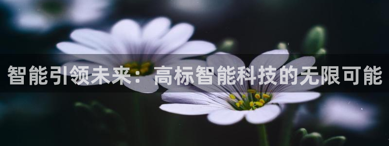 智能引领未来：高标智能科技的无限可能