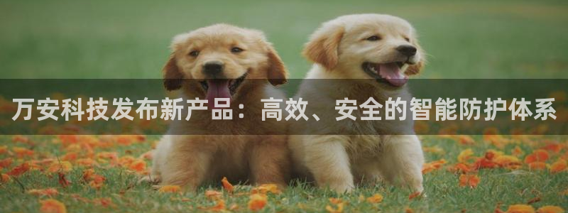 万安科技发布新产品：高效、安全的智能防护体系