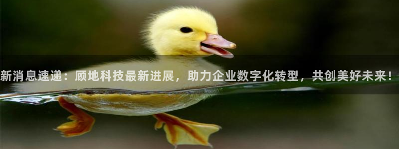 新消息速递：顾地科技最新进展，助力企业数字化转型，共创美好未来！