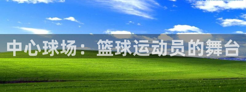 中心球场：篮球运动员的舞台