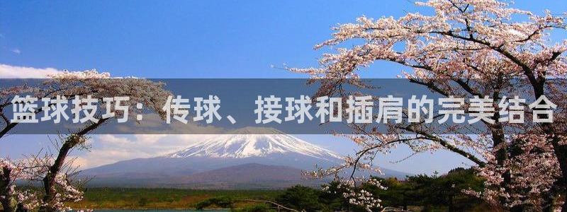 篮球技巧：传球、接球和插肩的完美结合