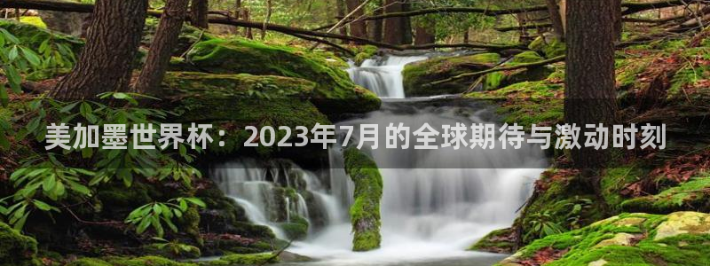 美加墨世界杯：2023年7月的全球期待与激动时刻