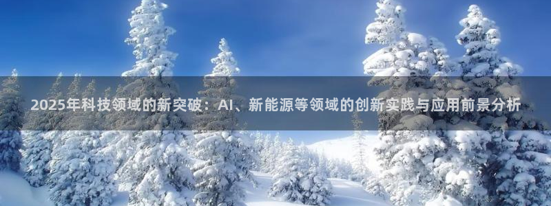 2025年科技领域的新突破：AI、新能源等领域的创新实践与应用前景分析