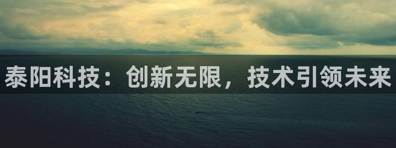 泰阳科技：创新无限，技术引领未来