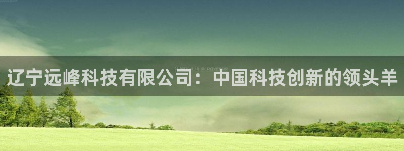 辽宁远峰科技有限公司：中国科技创新的领头羊