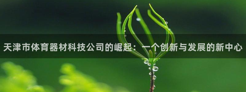 天津市体育器材科技公司的崛起：一个创新与发展的新中心