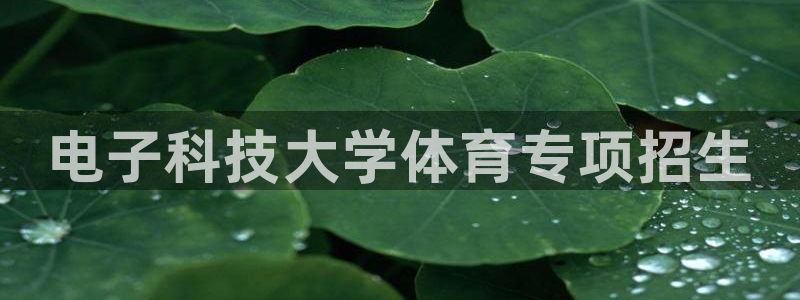 电子科技大学体育专项招生