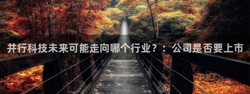 并行科技未来可能走向哪个行业？：公司是否要上市