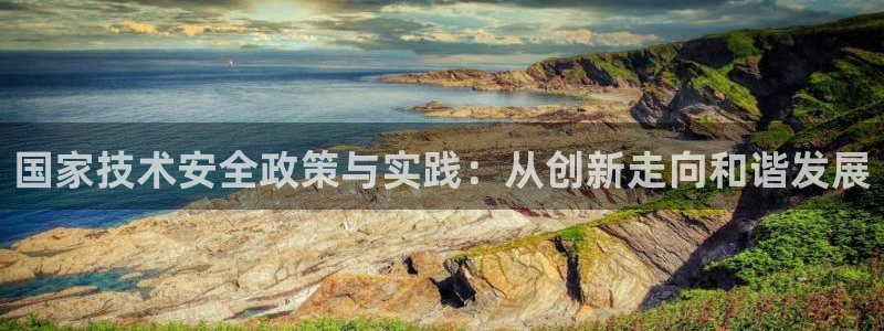 国家技术安全政策与实践：从创新走向和谐发展