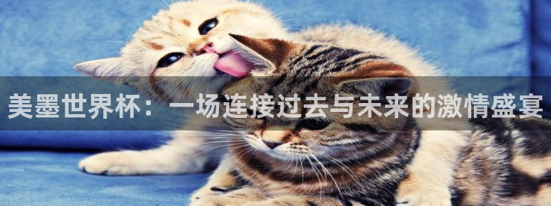 美墨世界杯：一场连接过去与未来的激情盛宴